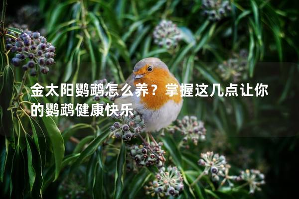 金太阳鹦鹉怎么养？掌握这几点让你的鹦鹉健康快乐