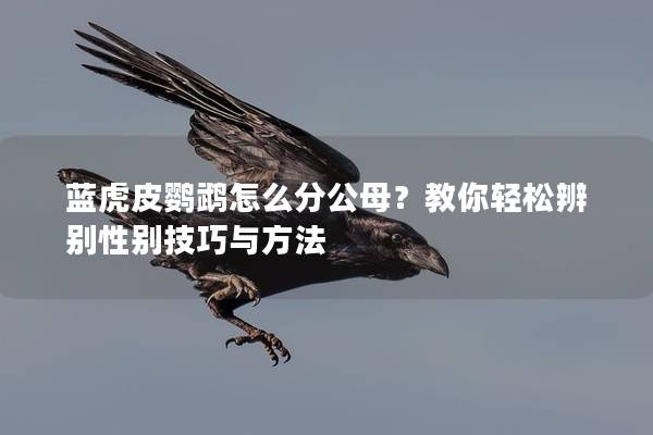 蓝虎皮鹦鹉怎么分公母？教你轻松辨别性别技巧与方法