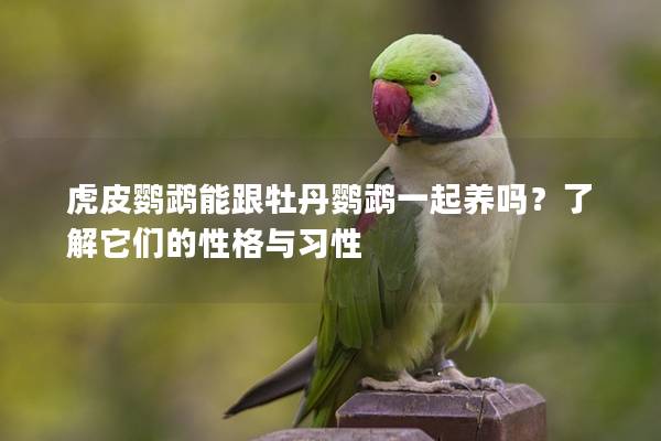 虎皮鹦鹉能跟牡丹鹦鹉一起养吗？了解它们的性格与习性