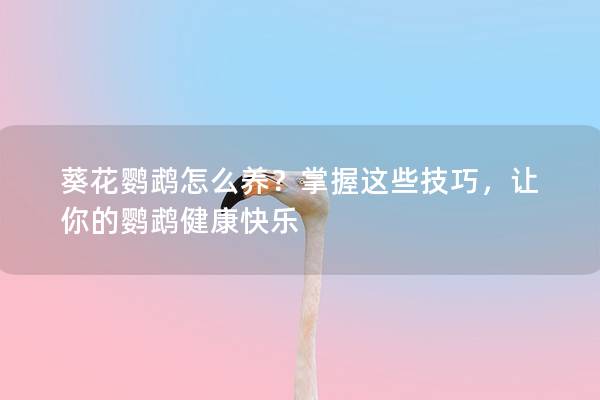 葵花鹦鹉怎么养？掌握这些技巧，让你的鹦鹉健康快乐