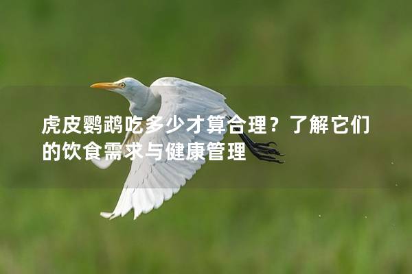 虎皮鹦鹉吃多少才算合理？了解它们的饮食需求与健康管理