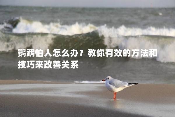 鹦鹉怕人怎么办？教你有效的方法和技巧来改善关系