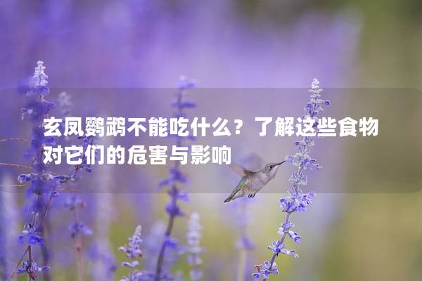 玄凤鹦鹉不能吃什么？了解这些食物对它们的危害与影响