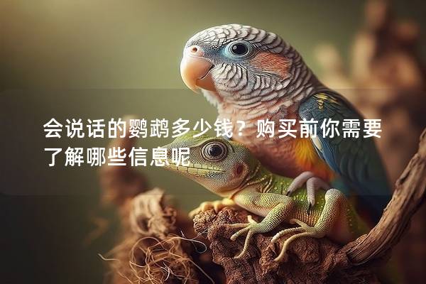 会说话的鹦鹉多少钱？购买前你需要了解哪些信息呢