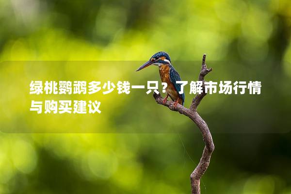 绿桃鹦鹉多少钱一只？了解市场行情与购买建议