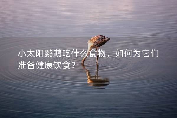 小太阳鹦鹉吃什么食物，如何为它们准备健康饮食？