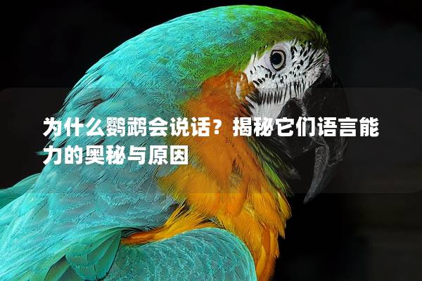 为什么鹦鹉会说话？揭秘它们语言能力的奥秘与原因