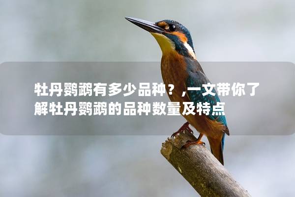 牡丹鹦鹉有多少品种？,一文带你了解牡丹鹦鹉的品种数量及特点