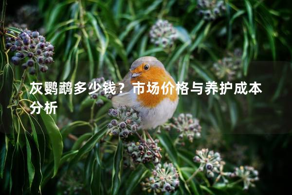 灰鹦鹉多少钱？市场价格与养护成本分析