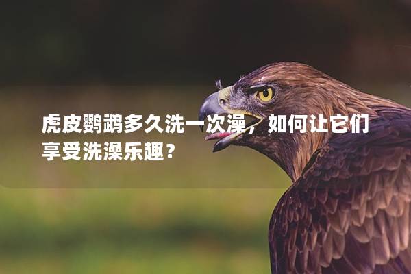 虎皮鹦鹉多久洗一次澡，如何让它们享受洗澡乐趣？