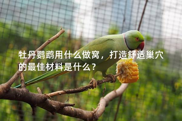 牡丹鹦鹉用什么做窝，打造舒适巢穴的最佳材料是什么？