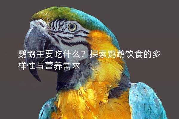 鹦鹉主要吃什么？探索鹦鹉饮食的多样性与营养需求