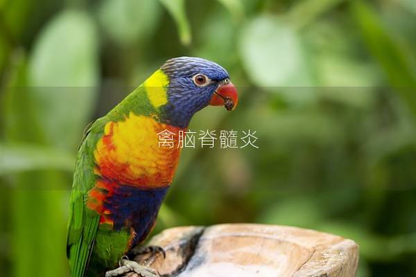 禽脑脊髓炎