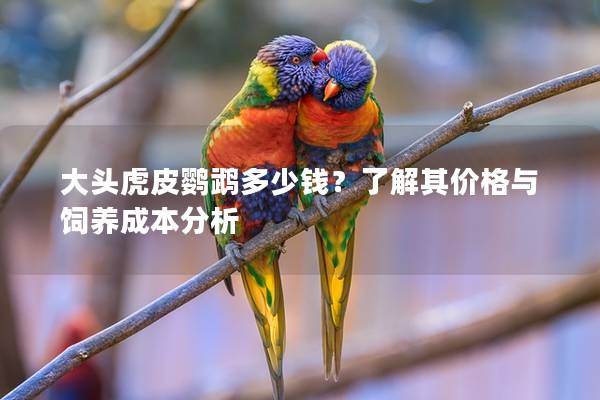 大头虎皮鹦鹉多少钱？了解其价格与饲养成本分析