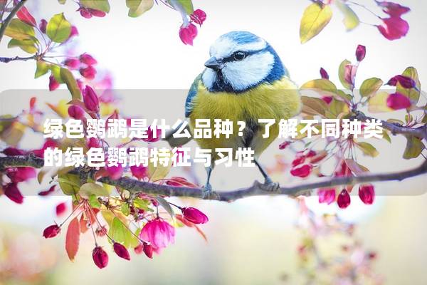 绿色鹦鹉是什么品种？了解不同种类的绿色鹦鹉特征与习性