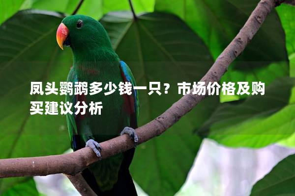 凤头鹦鹉多少钱一只？市场价格及购买建议分析