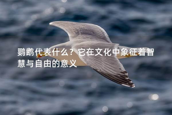 鹦鹉代表什么？它在文化中象征着智慧与自由的意义
