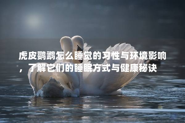 虎皮鹦鹉怎么睡觉的习性与环境影响，了解它们的睡眠方式与健康秘诀