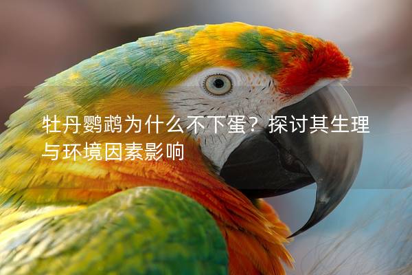 牡丹鹦鹉为什么不下蛋？探讨其生理与环境因素影响