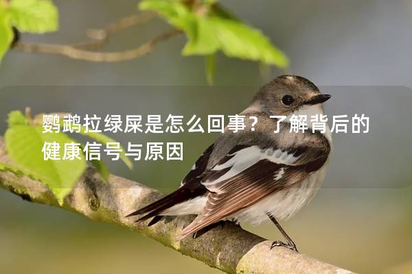 鹦鹉拉绿屎是怎么回事？了解背后的健康信号与原因