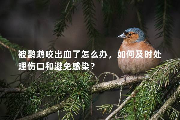 被鹦鹉咬出血了怎么办，如何及时处理伤口和避免感染？