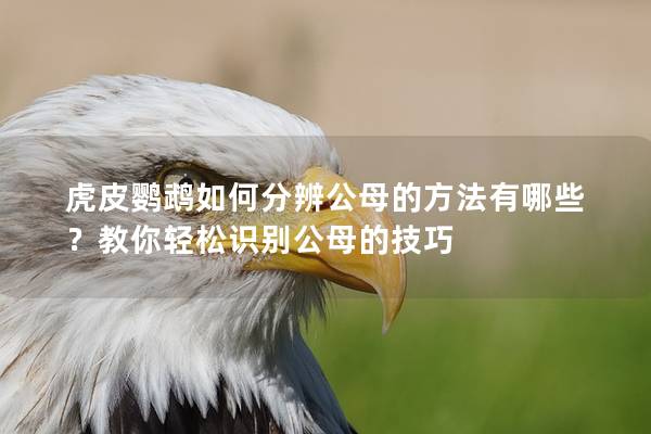 虎皮鹦鹉如何分辨公母的方法有哪些？教你轻松识别公母的技巧
