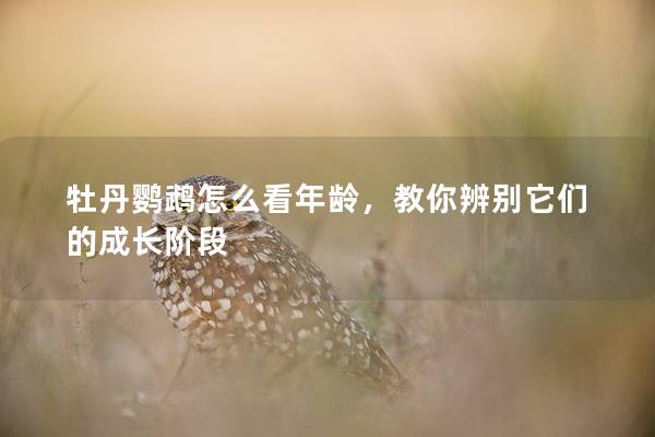 牡丹鹦鹉怎么看年龄，教你辨别它们的成长阶段