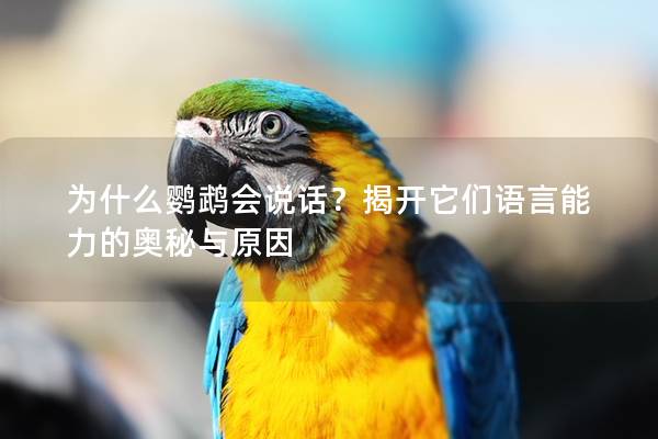 为什么鹦鹉会说话？揭开它们语言能力的奥秘与原因