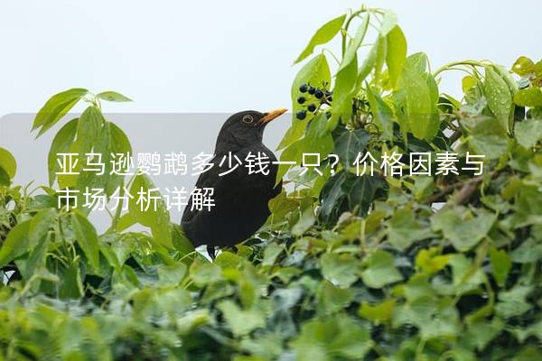 亚马逊鹦鹉多少钱一只？价格因素与市场分析详解