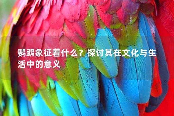 鹦鹉象征着什么？探讨其在文化与生活中的意义