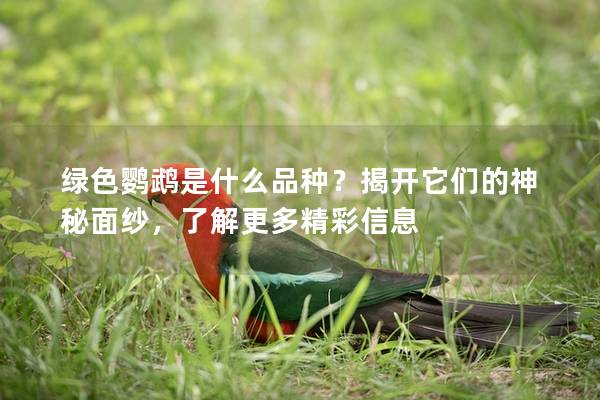 绿色鹦鹉是什么品种？揭开它们的神秘面纱，了解更多精彩信息