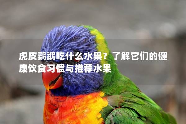 虎皮鹦鹉吃什么水果？了解它们的健康饮食习惯与推荐水果