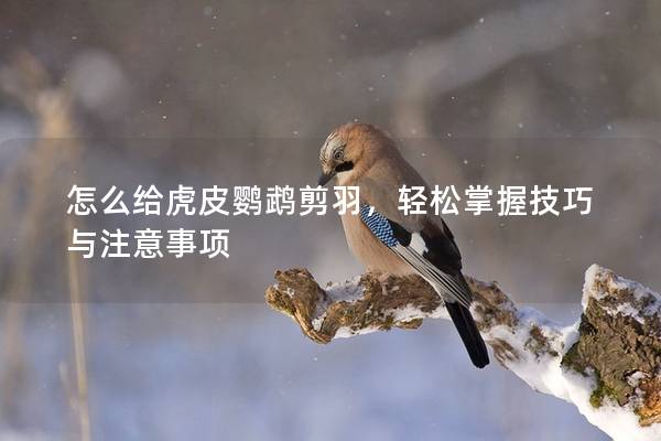 怎么给虎皮鹦鹉剪羽，轻松掌握技巧与注意事项