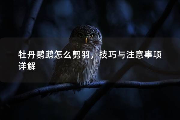 牡丹鹦鹉怎么剪羽，技巧与注意事项详解