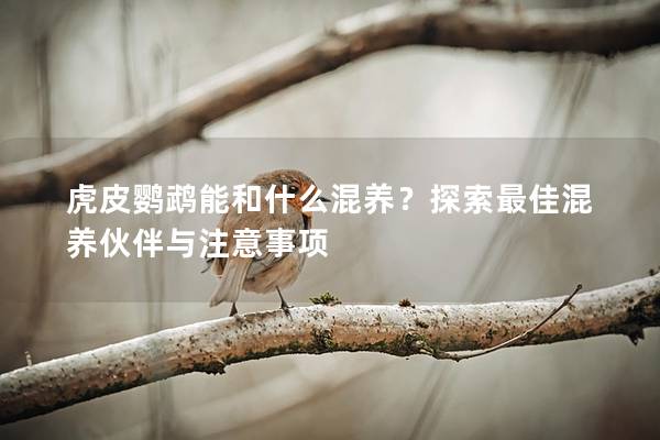 虎皮鹦鹉能和什么混养？探索最佳混养伙伴与注意事项