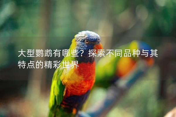 大型鹦鹉有哪些？探索不同品种与其特点的精彩世界