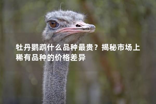 牡丹鹦鹉什么品种最贵？揭秘市场上稀有品种的价格差异