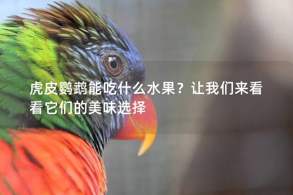 虎皮鹦鹉能吃什么水果？让我们来看看它们的美味选择