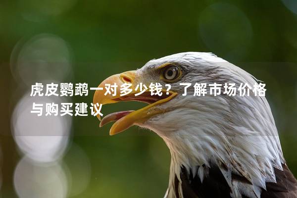 虎皮鹦鹉一对多少钱？了解市场价格与购买建议