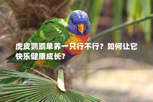 虎皮鹦鹉单养一只行不行？如何让它快乐健康成长？