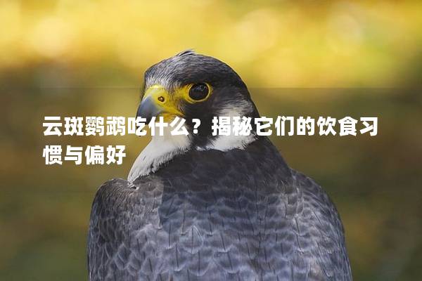 云斑鹦鹉吃什么？揭秘它们的饮食习惯与偏好