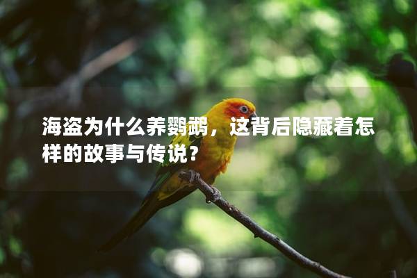 海盗为什么养鹦鹉，这背后隐藏着怎样的故事与传说？