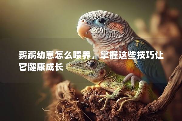 鹦鹉幼崽怎么喂养，掌握这些技巧让它健康成长