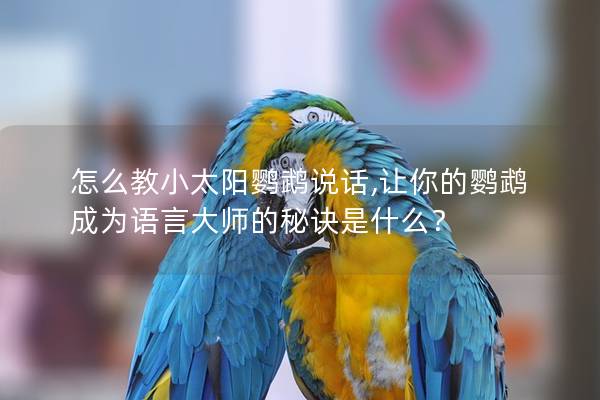 怎么教小太阳鹦鹉说话,让你的鹦鹉成为语言大师的秘诀是什么？