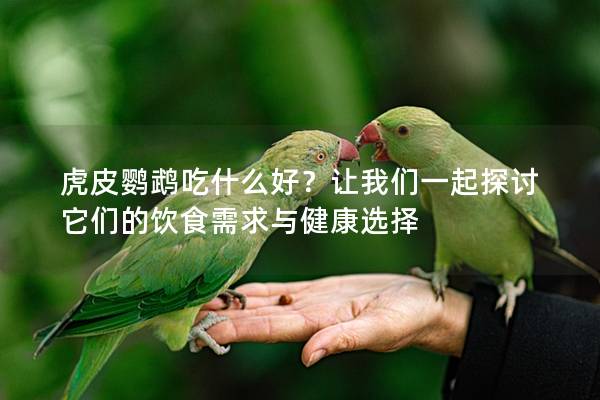 虎皮鹦鹉吃什么好？让我们一起探讨它们的饮食需求与健康选择
