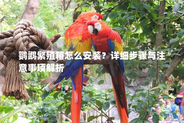鹦鹉繁殖箱怎么安装？详细步骤与注意事项解析
