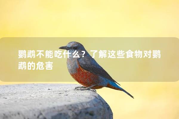 鹦鹉不能吃什么？了解这些食物对鹦鹉的危害