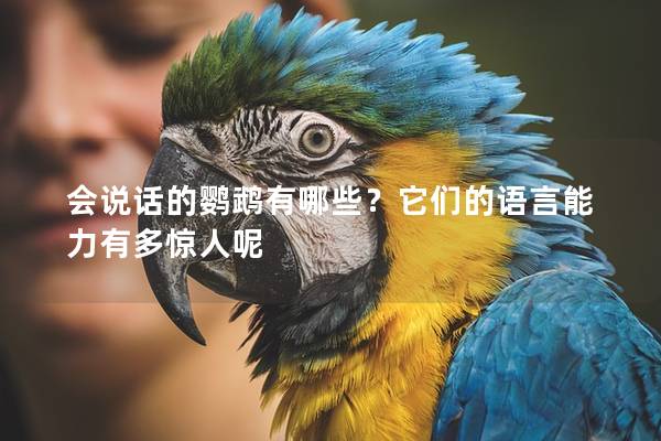 会说话的鹦鹉有哪些？它们的语言能力有多惊人呢