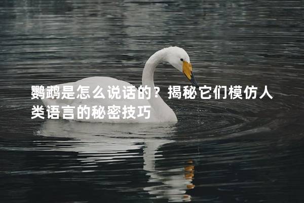 鹦鹉是怎么说话的？揭秘它们模仿人类语言的秘密技巧