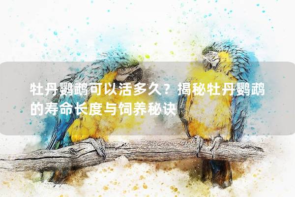 牡丹鹦鹉可以活多久？揭秘牡丹鹦鹉的寿命长度与饲养秘诀